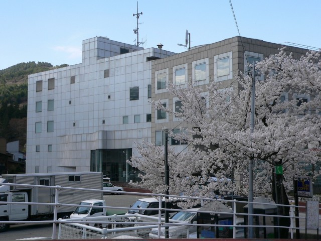 神岡振興事務所の桜